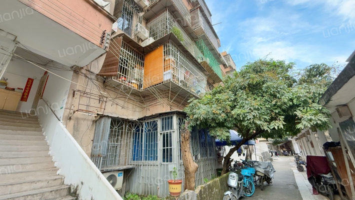 东圃小学教师宿舍外景图