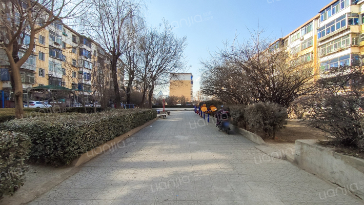 太钢二十三宿舍外景图