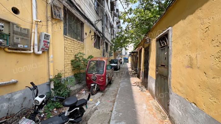 雪松大道1137外景图