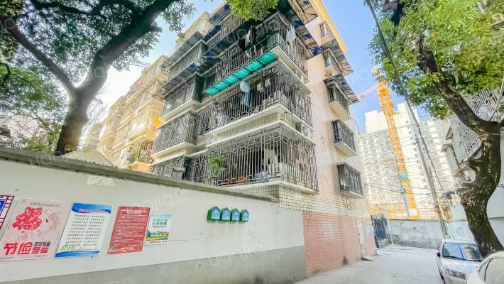 大根路6号外景图