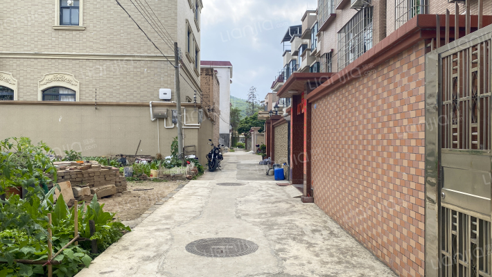 恒洋一街六巷外景图