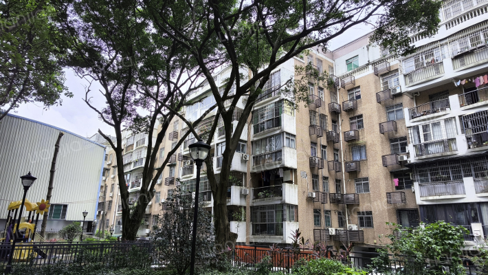 广州市司法学校黄边校区外景图