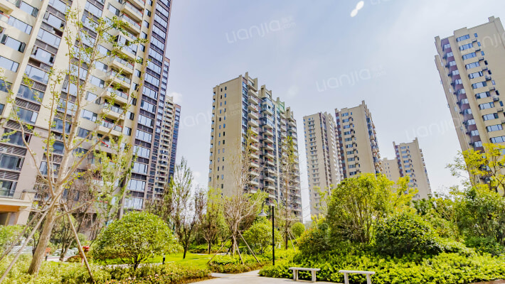 碧桂园德信府前1号领誉园外景图