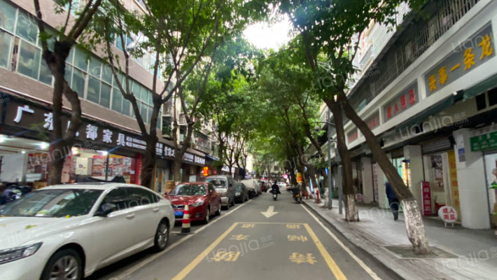 人兴支路外景图