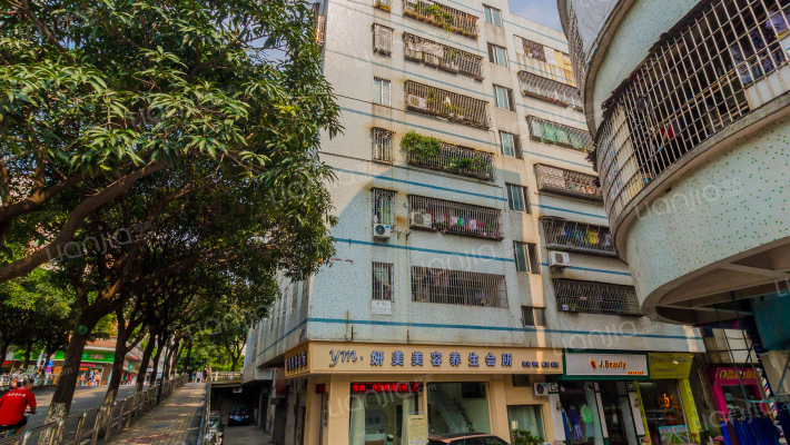 罗村新世纪花园外景图