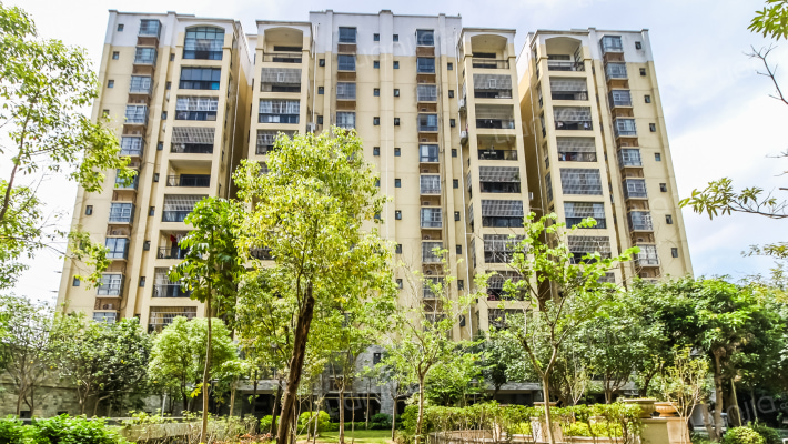 海茵国际花城(宏福路)外景图