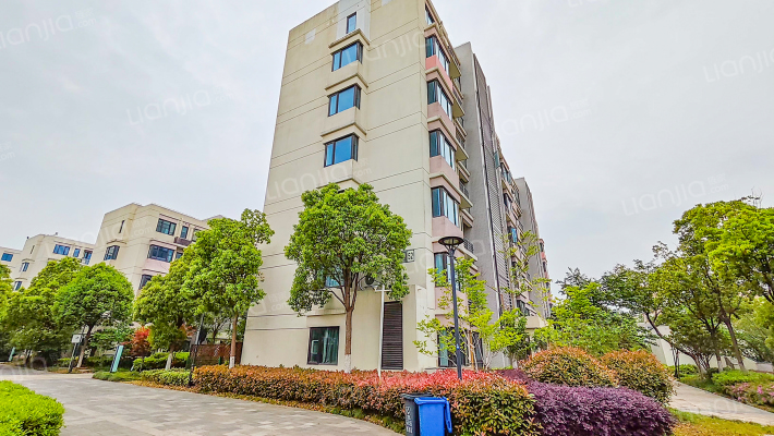 世合理想大地外景图