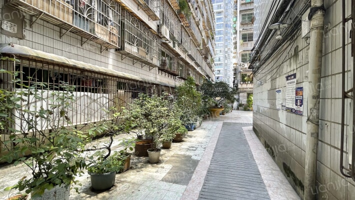 友谊路230号外景图