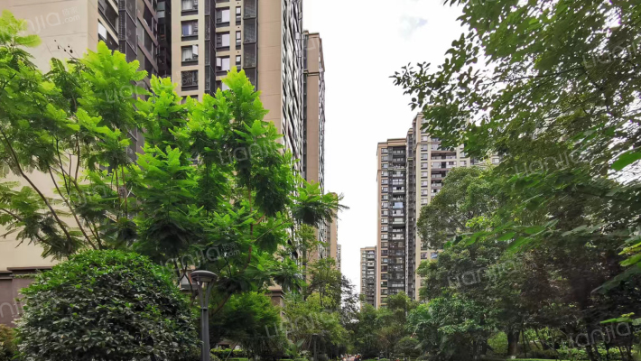 万科理想城三期星河外景图