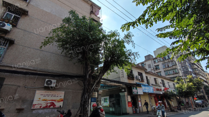 海口海关义龙东宿舍区外景图