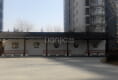 康大凤凰国际2