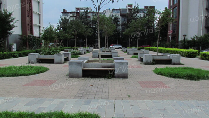 雪莲东里外景图