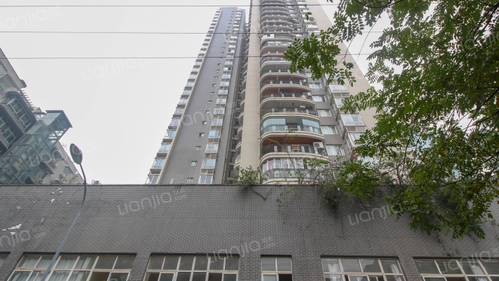 小泉森林海外景图