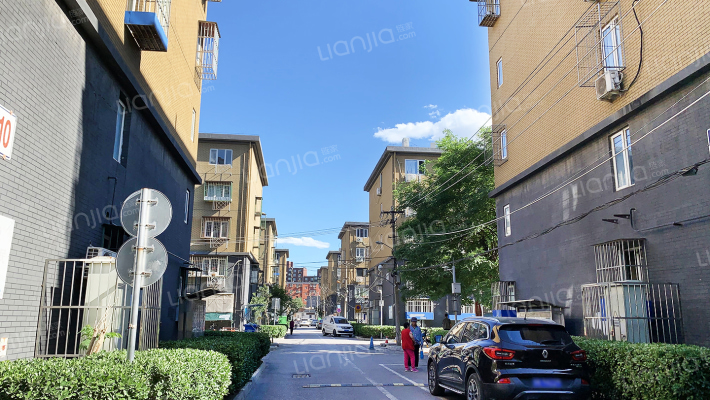 高杨树北里外景图