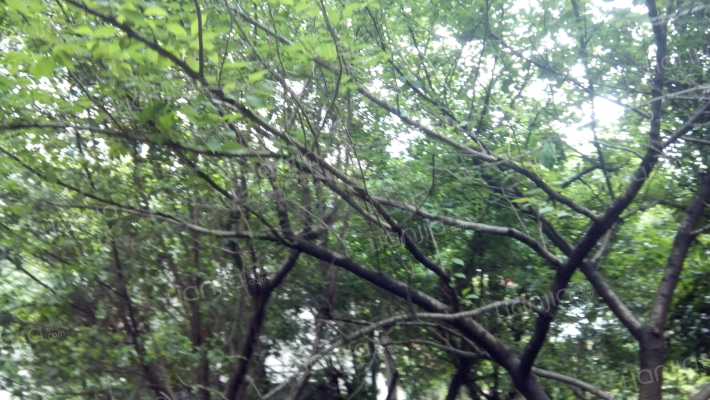 江盛街社区外景图