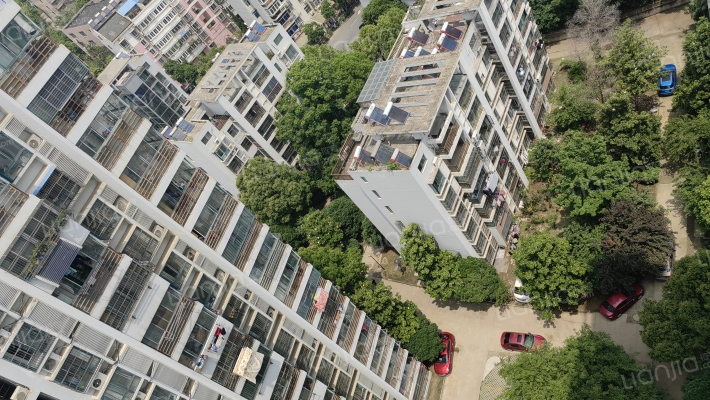 高河花园外景图