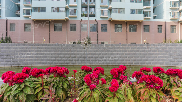 和泰花园北区外景图