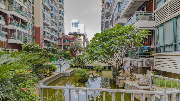 菁华领第外景图