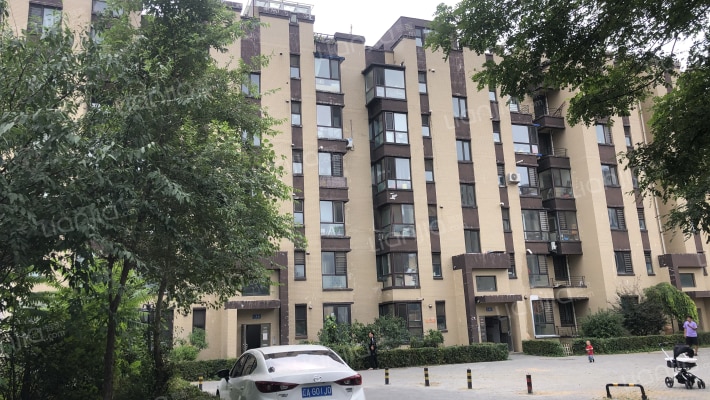 巴黎梦夏外景图