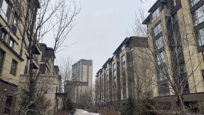 金辉优步湖畔外景图