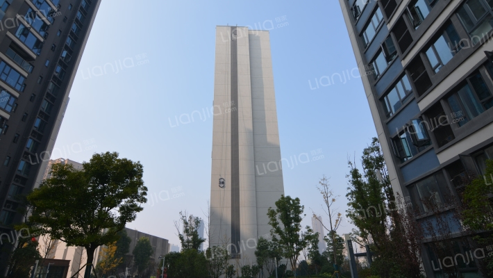 富力十号外景图