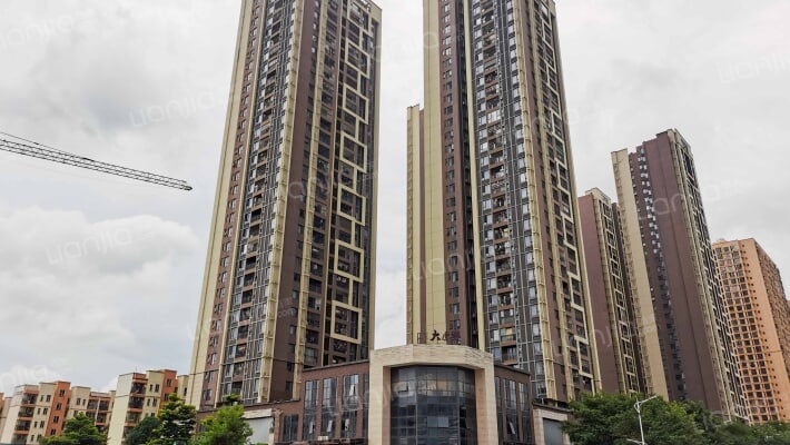 大唐果(西乡塘区)外景图