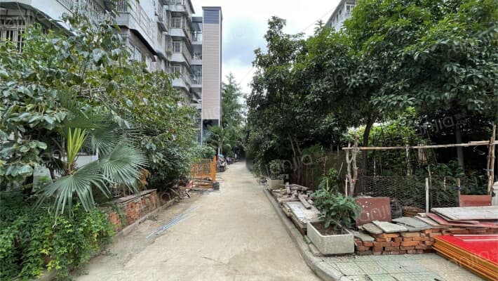 安医大和平苑外景图