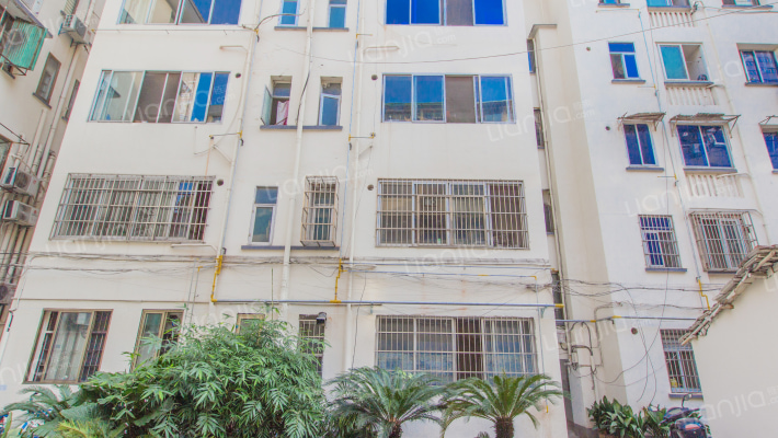 新华街430号外景图