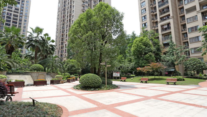 金科10年城北区外景图