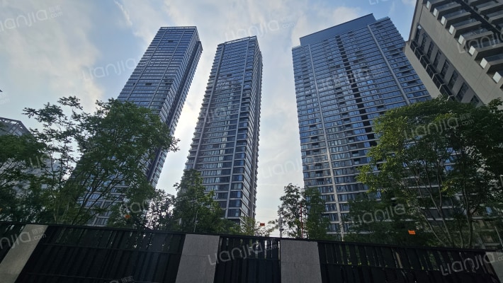 武汉沙湖中心外景图