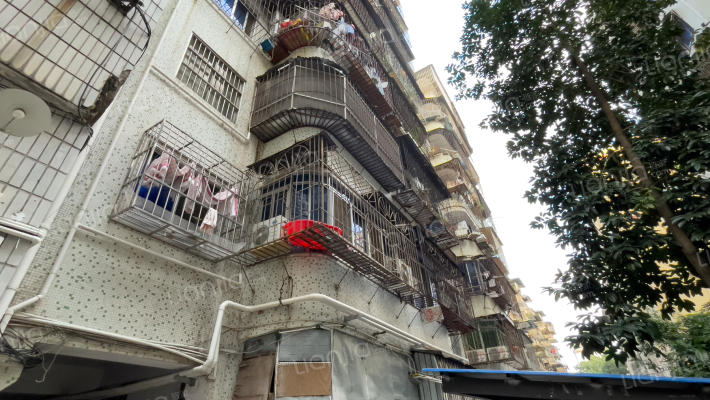 鲤湾路2-16号外景图