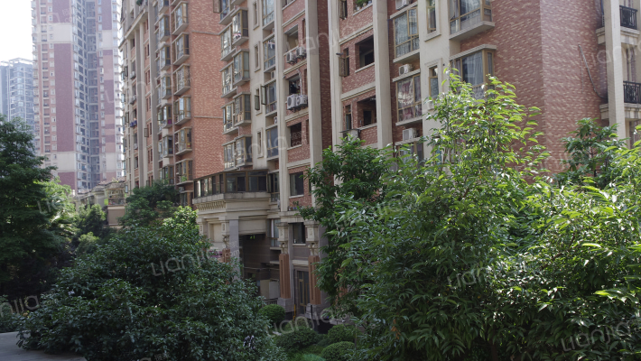 奥园康城A区外景图