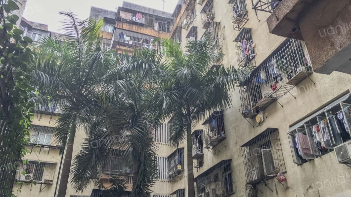 松园西街50号外景图