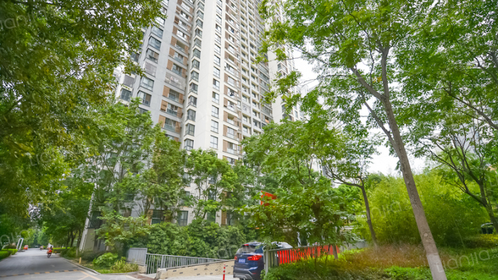 滨湖明珠东区外景图