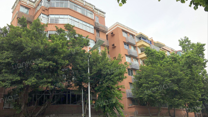 海傍路海傍后街外景图