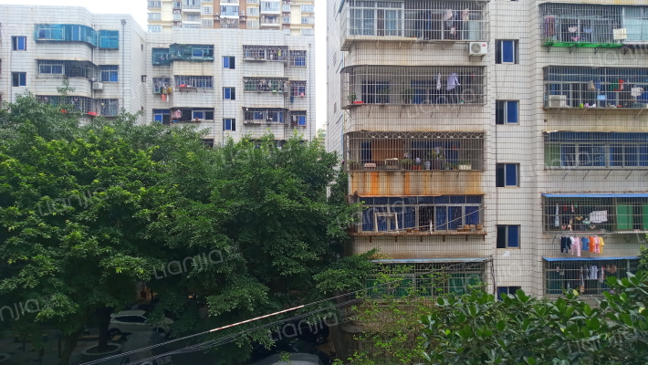 上丹花苑A区外景图