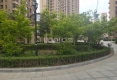 波菲蓝岛15