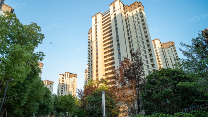 中南紫云集外景图