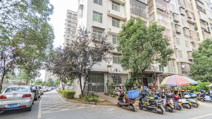 洞井家园二小区外景图