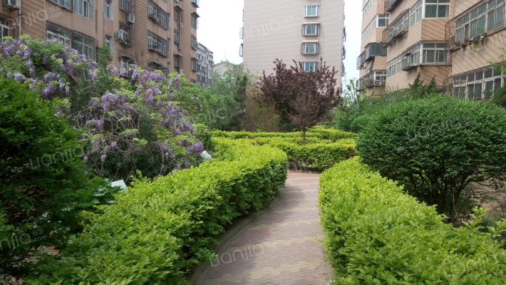 红园小区外景图