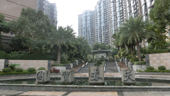 国贸春天外景图