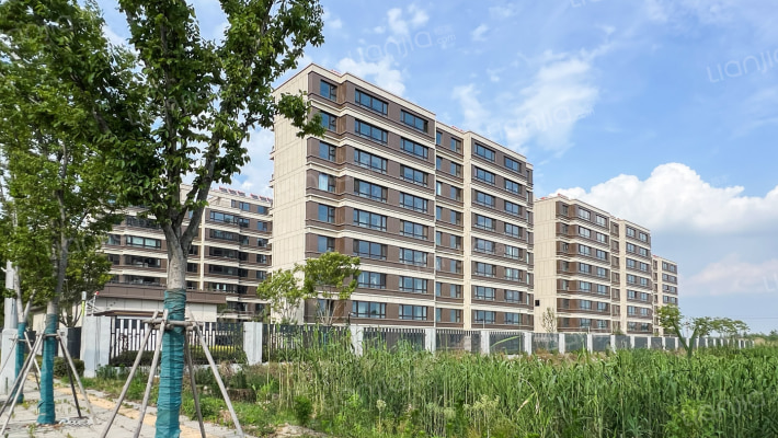 龙湖天玺外景图