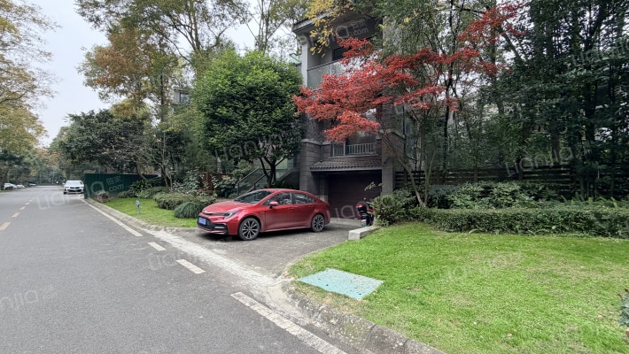 今日田园外景图