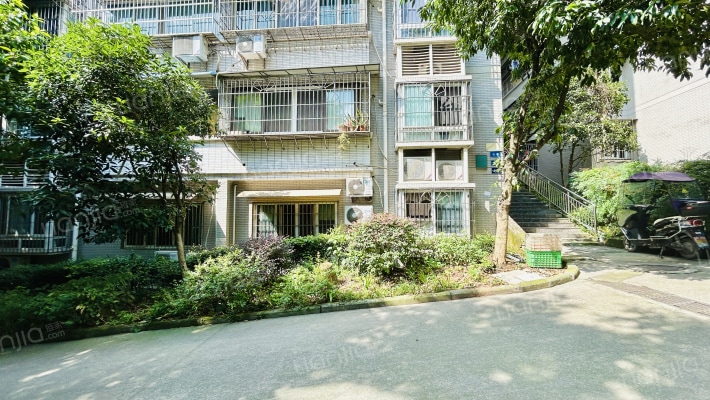 古镇苑二期外景图