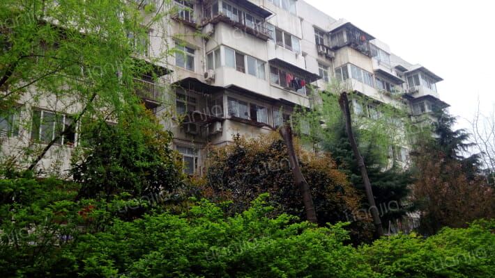 解放大道2637号外景图