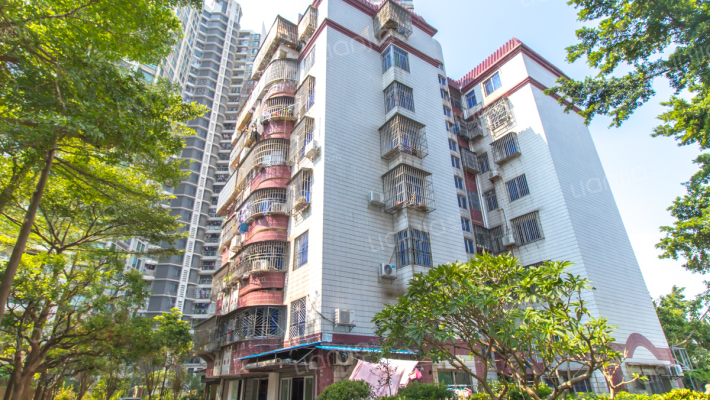 珠江中星广场外景图