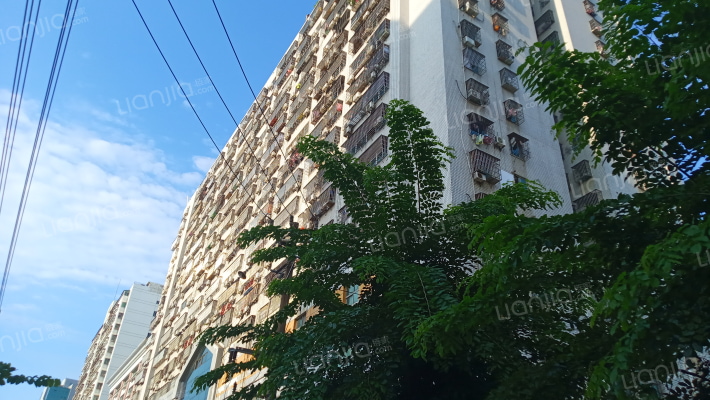 金都大厦（龙华区）外景图