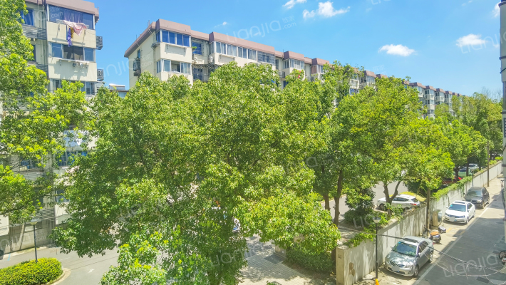 市农林局宿舍外景图