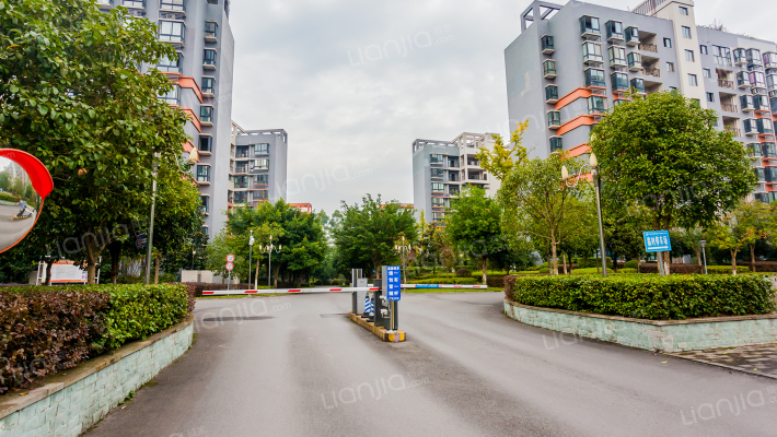 湖岸家园B区外景图