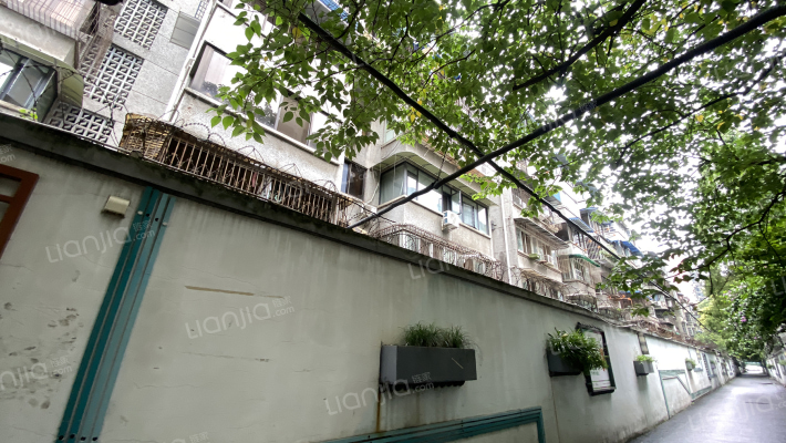 成科西二路1号外景图